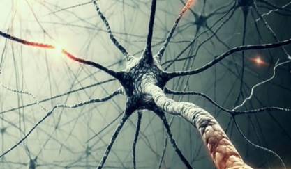 神經(jīng)網(wǎng)絡算法非傳統(tǒng)終端部署